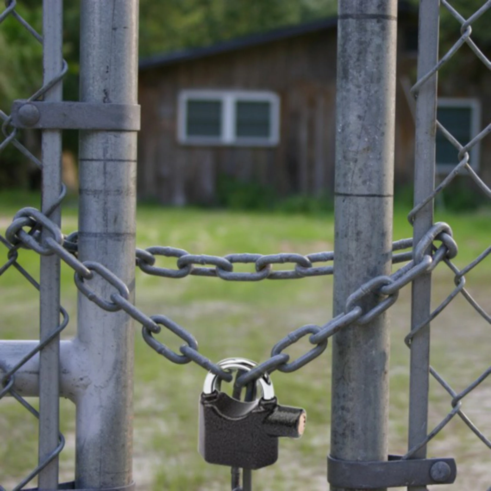 3 Stück OLYMPIA S 100 Premium Vorhängeschloss Mit Sirene, 100 DB – Bild 4