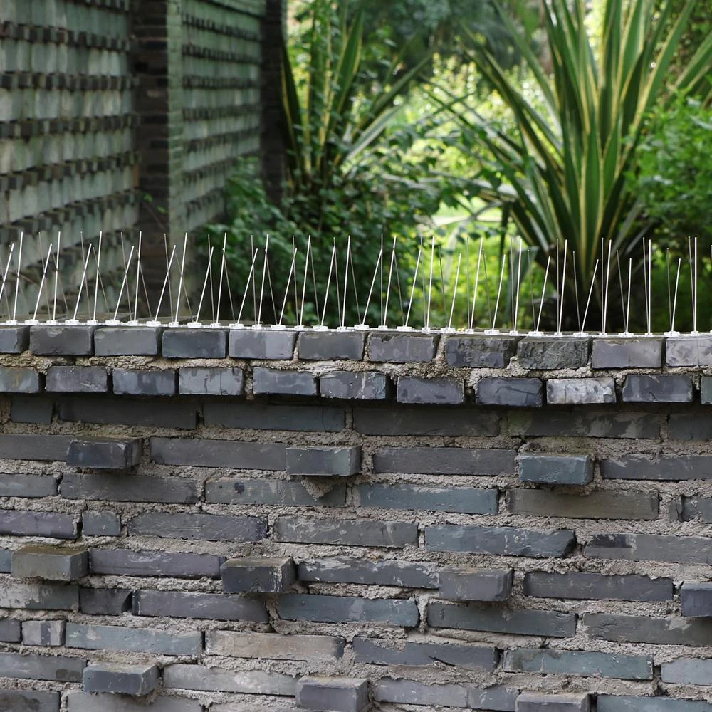 Yaheetech Taubenspikes 10 STK Edelstahl Taubenabwehr 50cm Vogelschutz Vogelabwehr Vogelschreck 5 Yaheetech Taubenspikes 10 STK Edelstahl Taubenabwehr 50cm Vogelschutz Vogelabwehr Vogelschreck – Bild 5